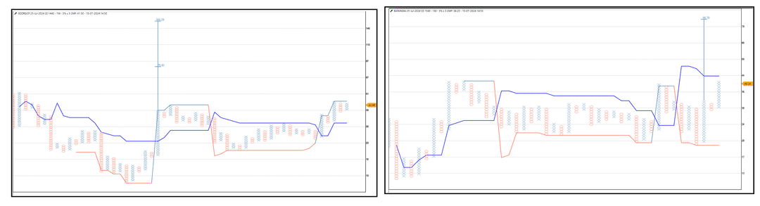 1007-godrejcp-bata OPtions -CE.png