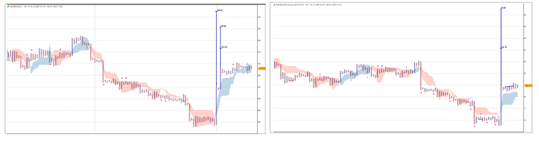 0601-NATURALGAS AND NATURA.png