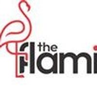 The Flamingo life-1747986328472 The Flamingo life-1747986328472