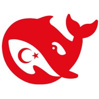 Deepseek Turkce-1759979398457 Deepseek Turkce-1759979398457