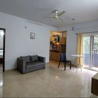 Reeltor 333-1766555385187