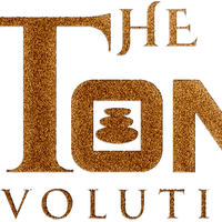 The Stone Evolution-1771482095603